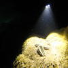 Picture taken during the dive