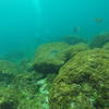 Picture taken during the dive