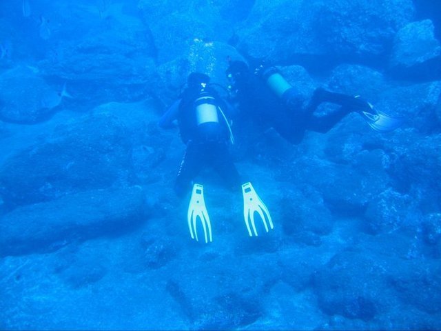 Madeira Divepoint - Dive Center
