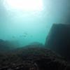 Picture taken during the dive