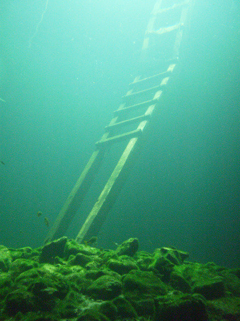 Green Divers Mexico - Dive Center in Mexico