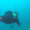 Picture taken during the dive