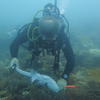 Picture taken during the dive