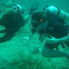 Picture taken during the dive