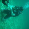 Picture taken during the dive
