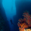 Picture taken during the dive