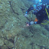 Picture taken during the dive