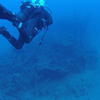 Picture taken during the dive