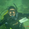 Picture taken during the dive