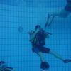 Picture taken during the dive