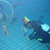 Picture taken during the dive