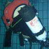 Picture taken during the dive