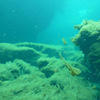 Picture taken during the dive