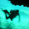 Picture taken during the dive