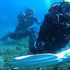 Picture taken during the dive