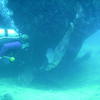 Picture taken during the dive