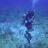 Picture taken during the dive
