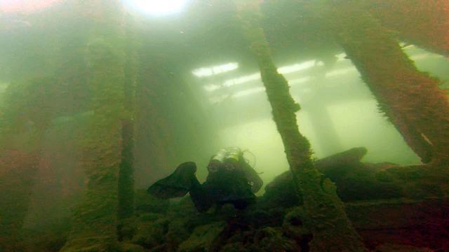 Diving in Royaume-Uni, South West - By Dave