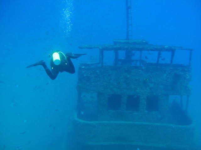 Abissal Mergulhos - Dive Center in Brazil