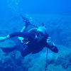 Picture taken during the dive