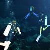 Picture taken during the dive