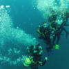 Picture taken during the dive
