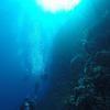 Picture taken during the dive