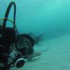 Picture taken during the dive