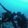 Picture taken during the dive