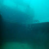 Picture taken during the dive