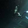 Picture taken during the dive