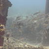 Picture taken during the dive