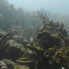 Picture taken during the dive