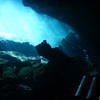 Picture taken during the dive