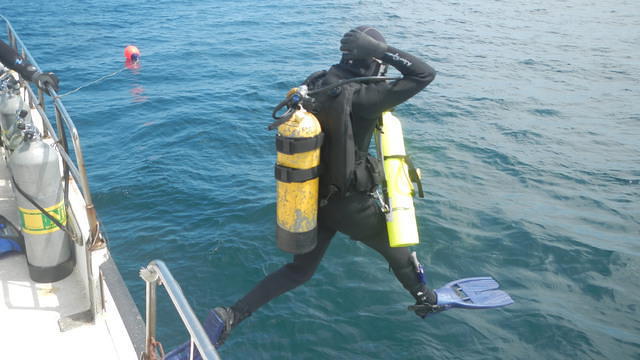 Captain Mike's Diving Services, Inc. - Dive Center in United States