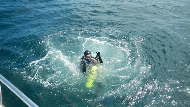 Captain Mike's Diving Services, Inc. - Dive Center in United States