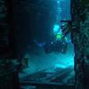 Picture taken during the dive