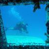 Picture taken during the dive