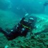 Picture taken during the dive