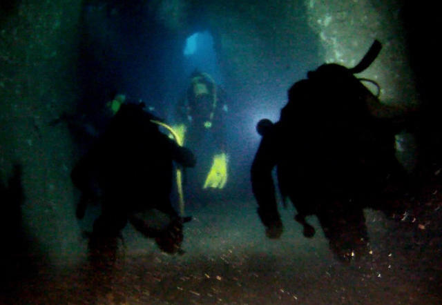 Diving Coral Reef - Dive Center in Italy