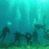 Picture taken during the dive