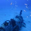 Picture taken during the dive