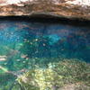Picture taken during the dive