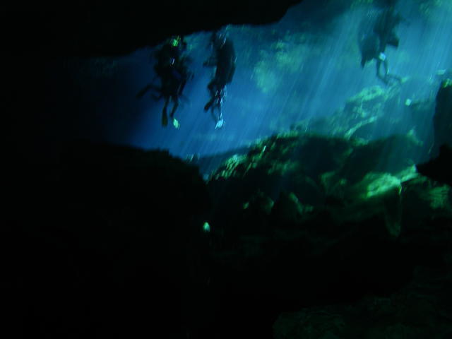 Blue Caribe Diving - Dive Center in Mexico