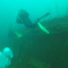 Picture taken during the dive