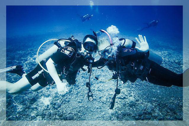 Maui Dive Shop Kihei - Dive Center in United States