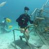 Picture taken during the dive