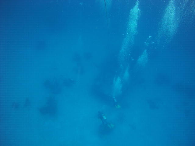 Grand Bahama Scuba - Dive Center in Bahamas