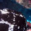 Picture taken during the dive