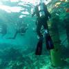 Picture taken during the dive